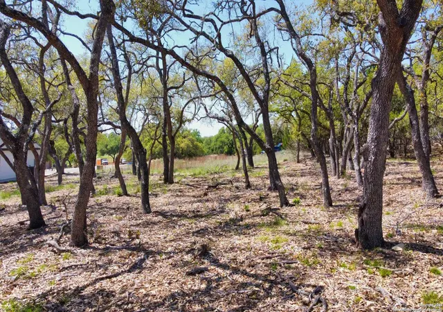 Photo 3 of Land for sale at 109 S Jesse Stiff, Blanco, TX 78606 | MLS# 1858651 | Listing updated on 2026-01-15