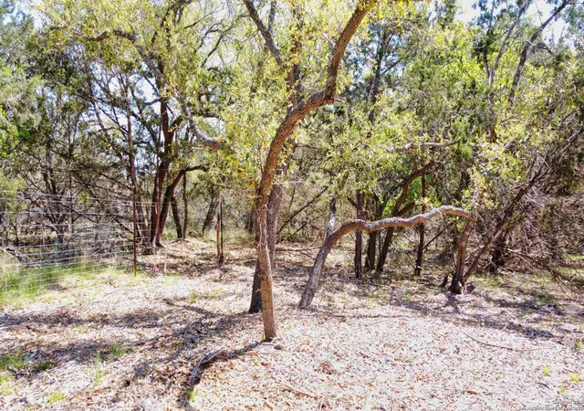 Photo 4 of Land for sale at 109 S Jesse Stiff, Blanco, TX 78606 | MLS# 1858651 | Listing updated on 2026-01-15