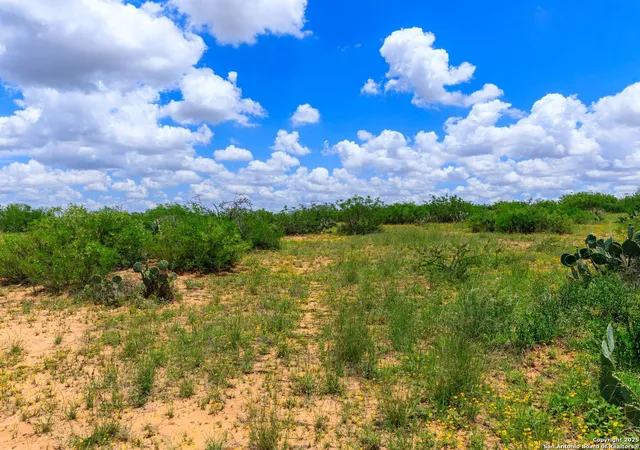 Homes for sale in Carrizo Springs, TX | 200-236 Fm 3252, Carrizo Springs, TX 78836 | MLS# 1858864
