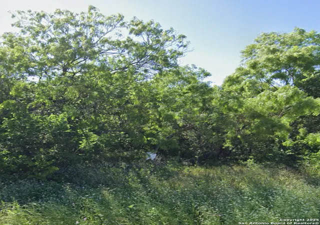 Photo 3 of Land for sale at 1303 Kayroe Rd, Adkins, TX 78101 | MLS# 1859122 | Listing updated on 2025-08-12