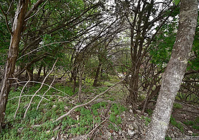 3rd image of 1873 Lakeshore, Canyon Lake, TX 78133 | MLS# 1859268