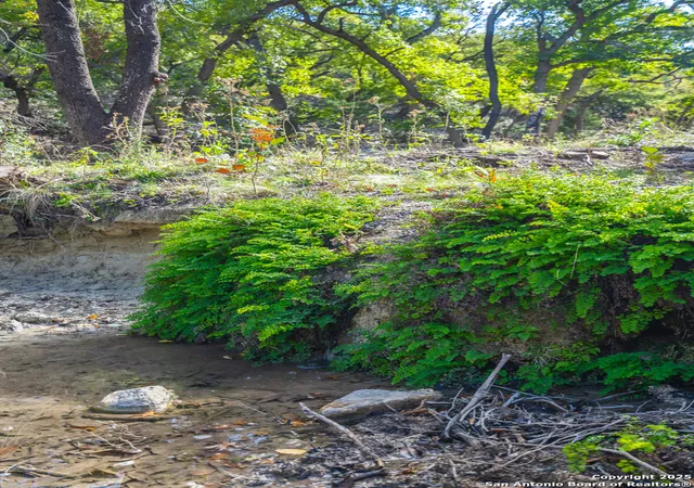 Photo 3 of House for sale at Tbd Us Hwy 83, Leakey, TX 78873 | MLS# 1859441 | Listing updated on 2025-11-25