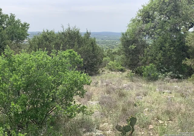 Photo 4 of Land for sale at 358 Toucan, Spring Branch, TX 78070 | MLS# 1859622 | Listing updated on 2025-09-09