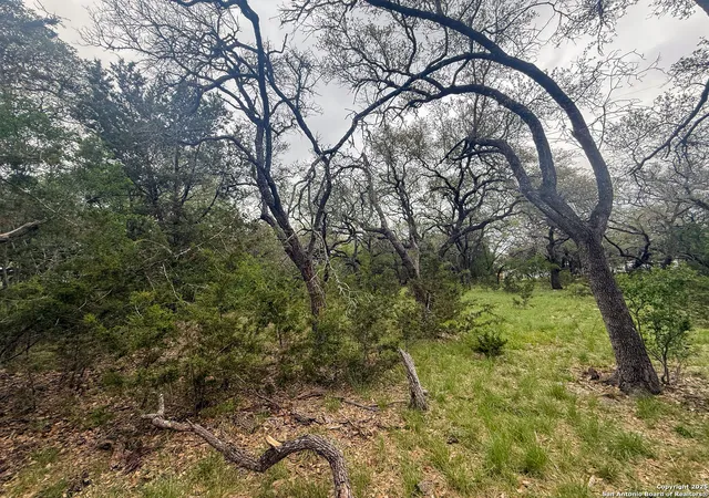 Photo 4 of Sale Pending at 23407 Osceola Blf, San Antonio, TX 78261 | MLS# 1861174 | Listing updated on 2026-04-17