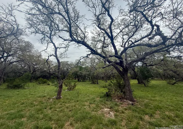 Photo 3 of Sale Pending at 23407 Osceola Blf, San Antonio, TX 78261 | MLS# 1861174 | Listing updated on 2026-04-17
