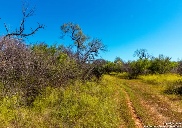 2nd image of Cr 661 661, Devine, TX 78016 | MLS# 1861427