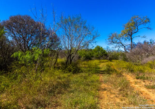 9th image of Cr 661 661, Devine, TX 78016 | MLS# 1861427