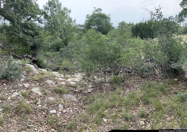 5th image of Tract 98 Winans Creek Ranch, Bandera, TX 78003 | MLS# 1861612