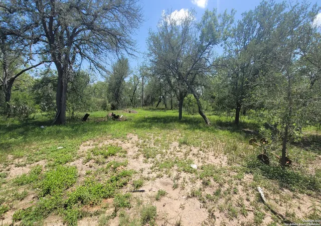 3rd image of 2142 Blue Creek, La Vernia, TX 78121 | MLS# 1861717