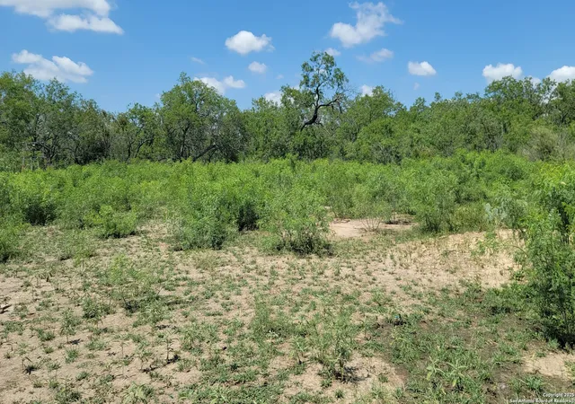 1st image of 2142 Blue Creek, La Vernia, TX 78121 | MLS# 1861717