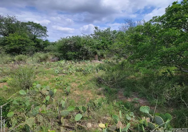 Photo 3 of Land for sale at Lot 96 Castleshoals Dr, Granite Shoals, TX 78654 | MLS# 1862258 | Listing updated on 2025-09-19