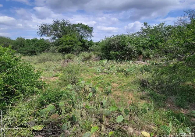 Photo 2 of Land for sale at Lot 96 Castleshoals Dr, Granite Shoals, TX 78654 | MLS# 1862258 | Listing updated on 2025-09-19