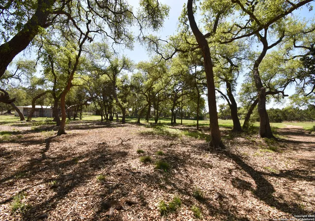 Photo 4 of Single family home for sale at 226 Shearer Road, Bulverde, TX 78163 | MLS# 1862471 | Listing updated on 2025-06-25