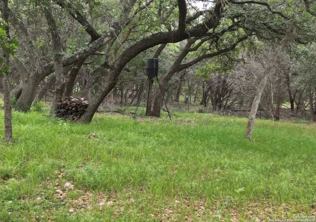 37th image of 104 Dorothy St, Lakehills, TX 78063 | MLS# 1862650