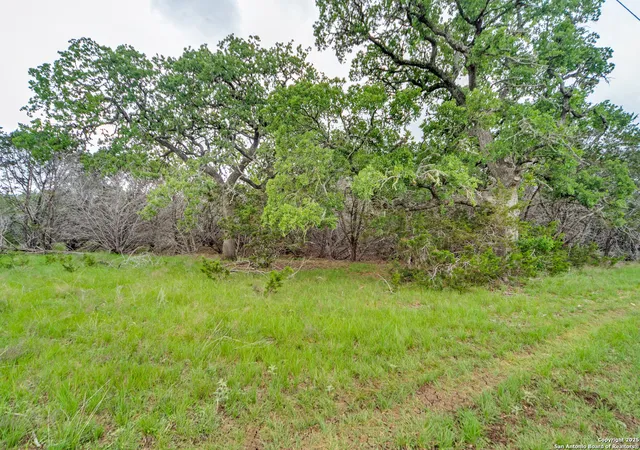 5th image of Tbd 37 Acres Elm Pass, Bandera, TX 78003 | MLS# 1863359