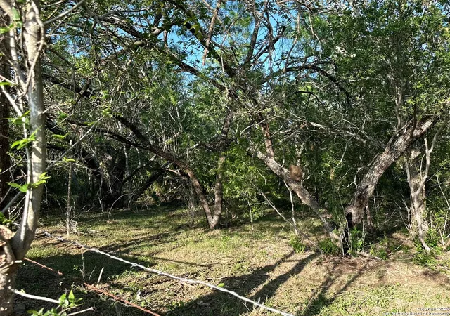 3rd image of Tba Stuart Rd, Adkins, TX 78101 | MLS# 1863549