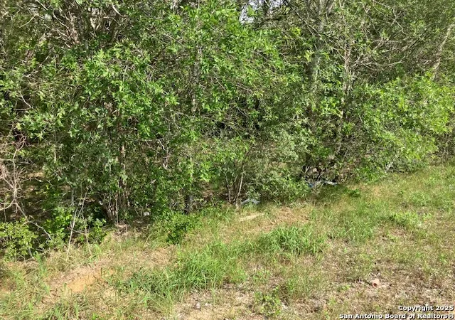 10th image of Tba Stuart Rd, Adkins, TX 78101 | MLS# 1863549