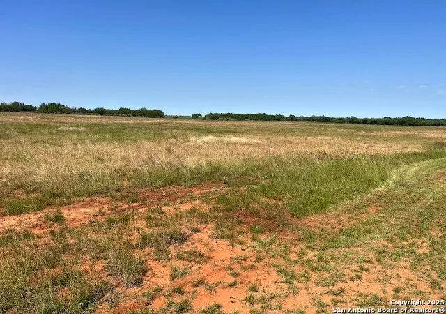 Photo 3 of Land for sale at 3262 County Road 429, Pleasanton, TX 78064 | MLS# 1863814 | Listing updated on 2025-11-16