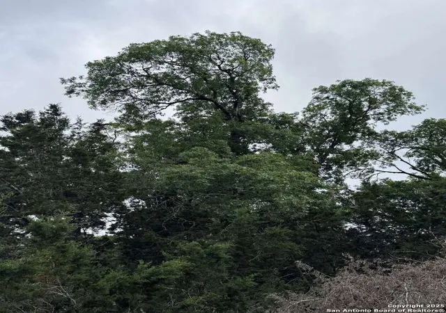 Photo 3 of Land for sale at 0 Roaring Creek, Boerne, TX 78006 | MLS# 1864050 | Listing updated on 2025-09-09