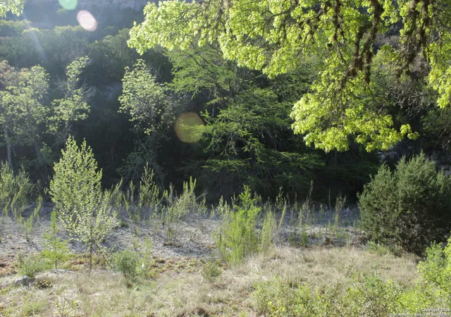 Photo 3 of House for sale at 1976 W Cedar Creek, Leakey, TX 78873 | MLS# 1864249 | Listing updated on 2026-08-15
