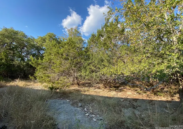 Photo 3 of Land for sale at 1735 Lake Park, Spring Branch, TX 78070 | MLS# 1864420 | Listing updated on 2025-12-31