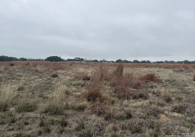 Photo 3 of Land for sale at 238 Colt Trl, Natalia, TX 78059 | MLS# 1864442 | Listing updated on 2025-09-10
