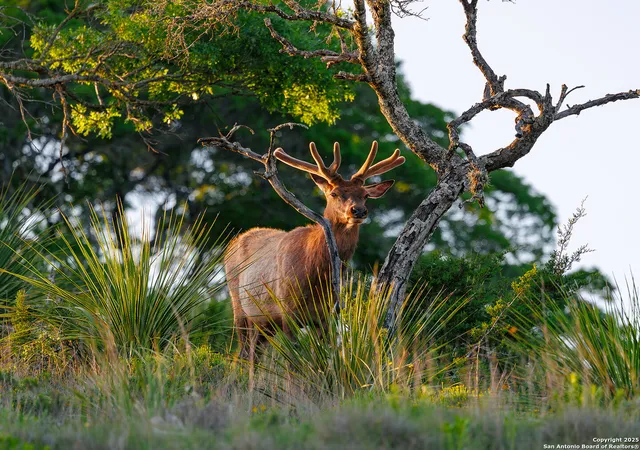 Photo 2 of Land for sale at Lot 108 Fallow Trail, Kerrville, TX 78028 | MLS# 1864580 | Listing updated on 2025-05-18
