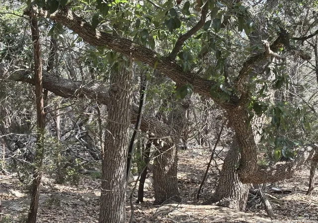 Photo 3 of Land for sale at 1483 Trailhead, New Braunfels, TX 78132 | MLS# 1865639 | Listing updated on 2025-11-24