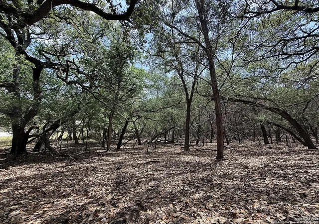 5th image of 0 Mandelane, Selma, TX 78154 | MLS# 1865690