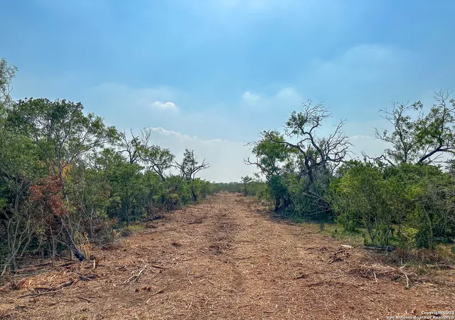 Photo 4 of Sale Pending at 000 County Rd 429, Pleasanton, TX 78064 | MLS# 1866408 | Listing updated on 2026-05-19