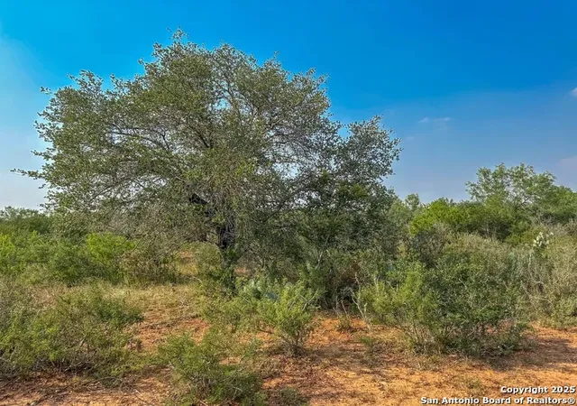 Photo 3 of Sale Pending at 1294 Cr 429, Pleasanton, TX 78064 | MLS# 1866472 | Listing updated on 2026-04-16