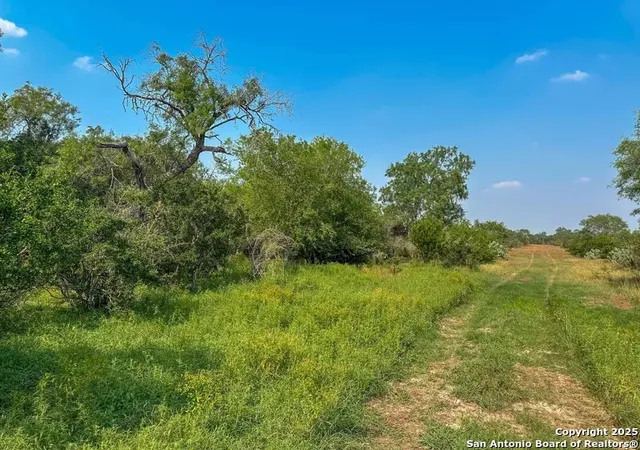 Photo 2 of Sale Pending at 1294 Cr 429, Pleasanton, TX 78064 | MLS# 1866472 | Listing updated on 2026-04-16