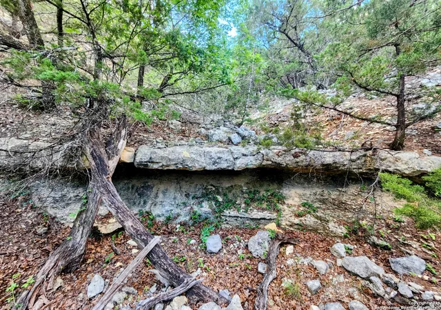 5th image of 1047 Seco Pass Road, Tarpley, TX 78883 | MLS# 1866934
