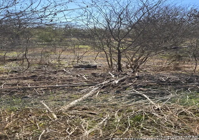 Photo 3 of Land for sale at 421 Coyol, San Antonio, TX 78237 | MLS# 1867061 | Listing updated on 2025-05-26