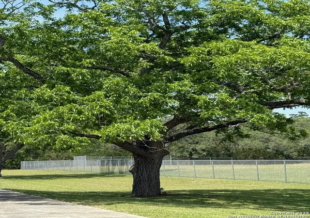 Photo 2 of Land for sale at 00 Pecan Ranch, Boerne, TX 78006 | MLS# 1867440 | Listing updated on 2025-11-26