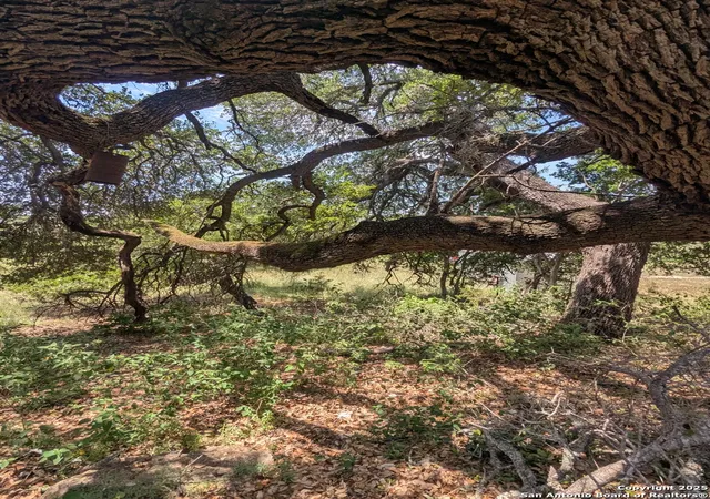 Photo 4 of Land for sale at 2120 Lakeshore, Canyon Lake, TX 78133 | MLS# 1867569 | Listing updated on 2025-12-01