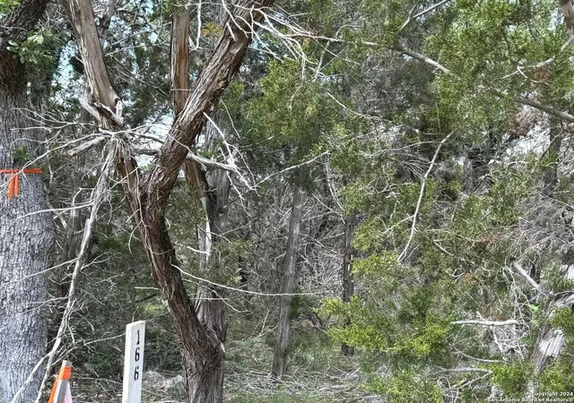 Photo 4 of Land for sale at 343 Serenity Pass, Spring Branch, TX 78070 | MLS# 1867879 | Listing updated on 2025-09-23