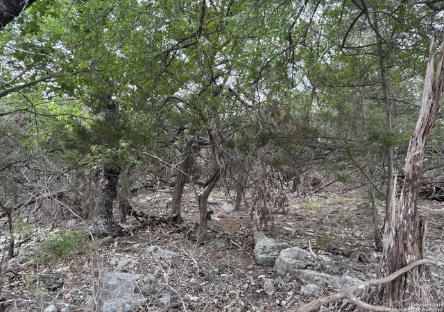 Photo 1 of Land for sale at 1424 Stahlman, New Braunfels, TX 78132 | MLS# 1867922 | Listing updated on 2025-11-24