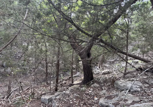 Photo 4 of Land for sale at 1424 Stahlman, New Braunfels, TX 78132 | MLS# 1867922 | Listing updated on 2025-11-24