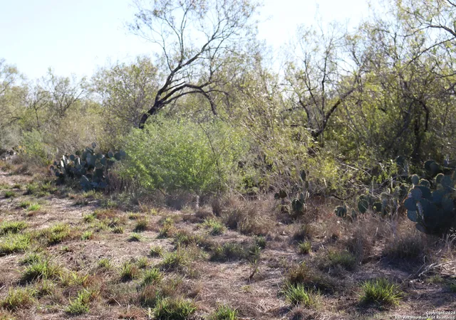 Homes for sale in St. Hedwig, TX | 15691 E Gable Rd, St. Hedwig, TX 78152 | MLS# 1868046