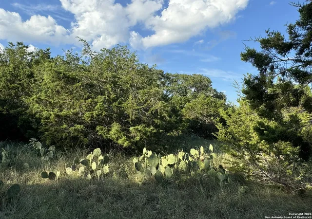 Photo 2 of Land for sale at Lot 10 Rocky Point Dr, Spring Branch, TX 78070 | MLS# 1868107 | Listing updated on 2026-09-11