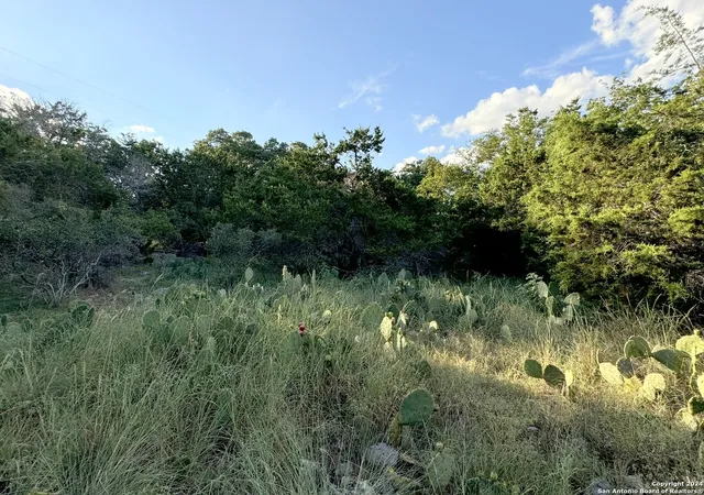 Photo 3 of Land for sale at Lot 10 Rocky Point Dr, Spring Branch, TX 78070 | MLS# 1868107 | Listing updated on 2026-09-11