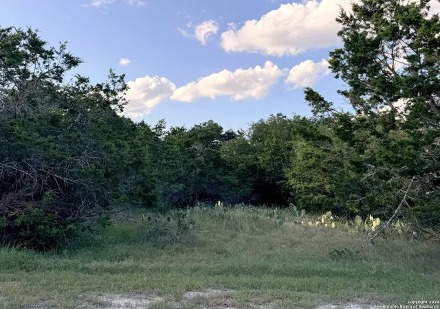 Photo 4 of Land for sale at Lot 10 Rocky Point Dr, Spring Branch, TX 78070 | MLS# 1868107 | Listing updated on 2026-09-11