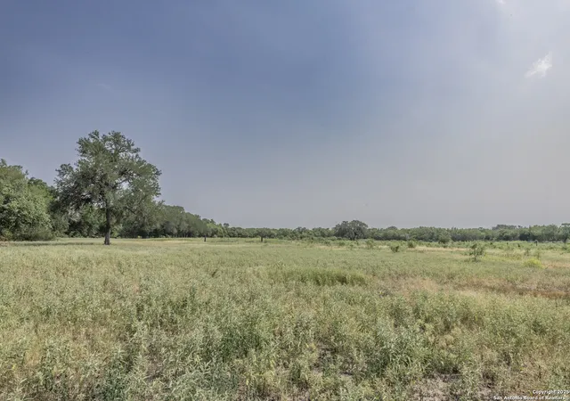 1st image of 1379 County Road 772, Natalia, TX 78059 | MLS# 1868297