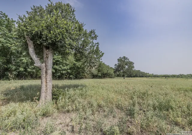 4th image of 1379 County Road 772, Natalia, TX 78059 | MLS# 1868297