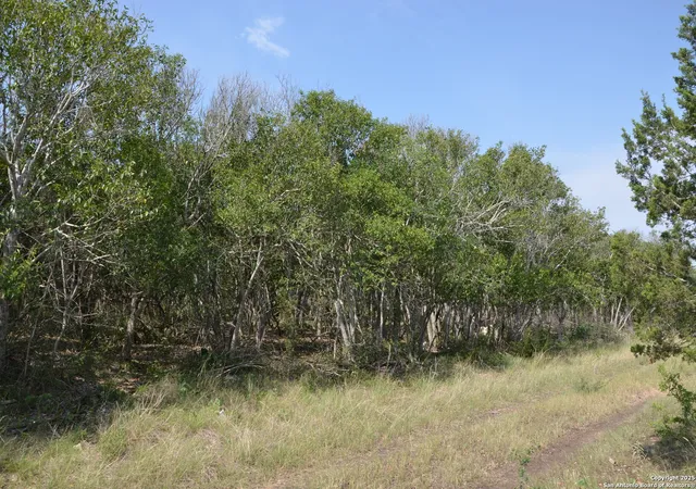 Photo 3 of Land for sale at 025 Wesp Way, San Antonio, TX 78233 | MLS# 1868790 | Listing updated on 2026-03-19