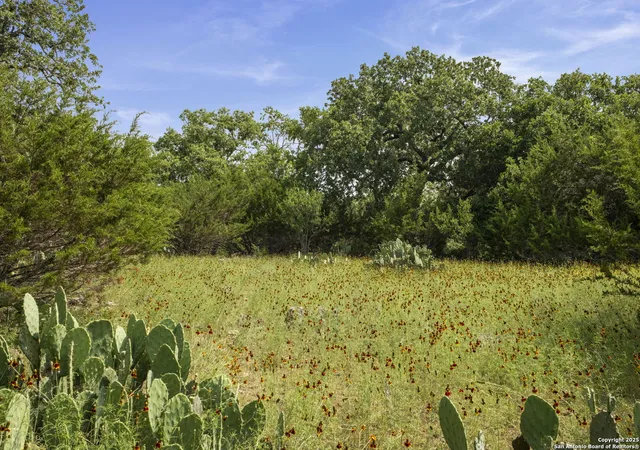 Photo 2 of Land for sale at 1030 Jurassic Lane, Spring Branch, TX 78070 | MLS# 1869007 | Listing updated on 2026-01-22