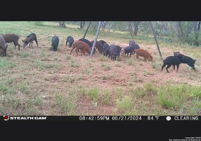 73rd image of 1185 County Road 7718, Devine, TX 78016 | MLS# 1869839