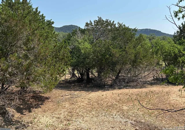 Photo 3 of Land for sale at 1619 Stringtown, Medina, TX 78055 | MLS# 1870575 | Listing updated on 2026-02-09