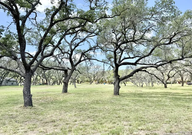 Photo 1 of Land for sale at Lot 53a Massad, Pleasanton, TX 78064 | MLS# 1870815 | Listing updated on 2026-04-26